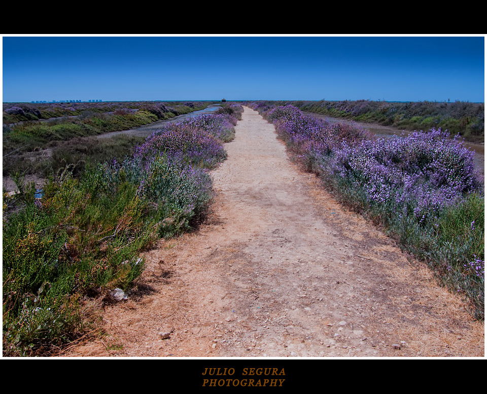 Ruta de los Brezos