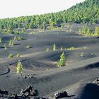 Ruta de los Volcanes