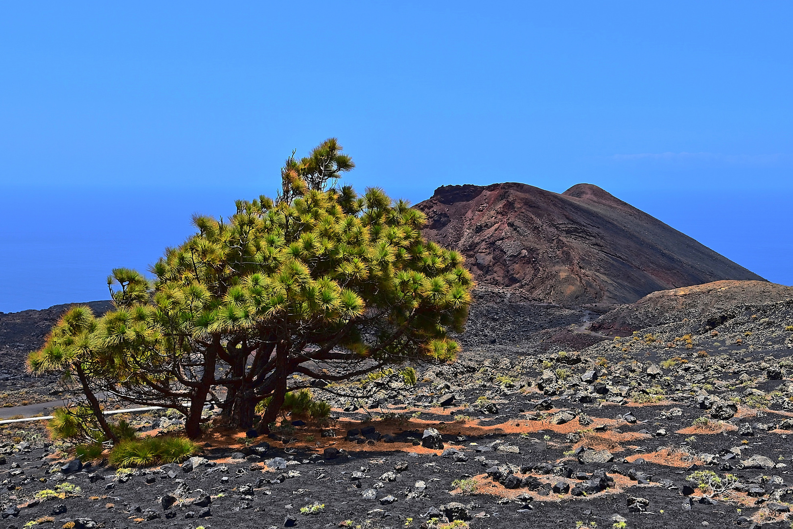  Ruta de los Volcanes