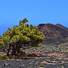  Ruta de los Volcanes