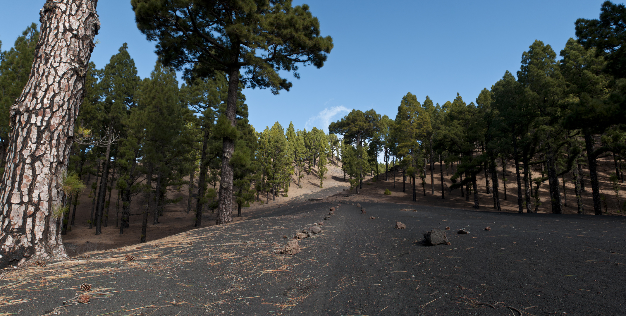 Ruta de los Volcanes - La Palma