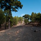 Ruta de los Volcanes - La Palma