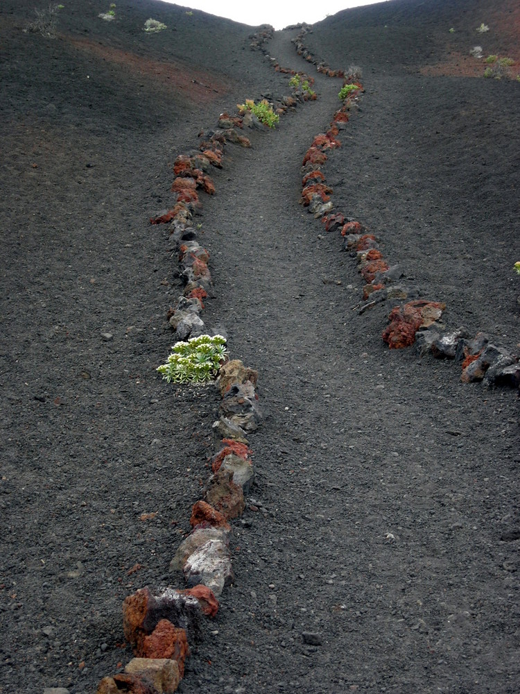 Ruta de los Vulcanos (La Palma)