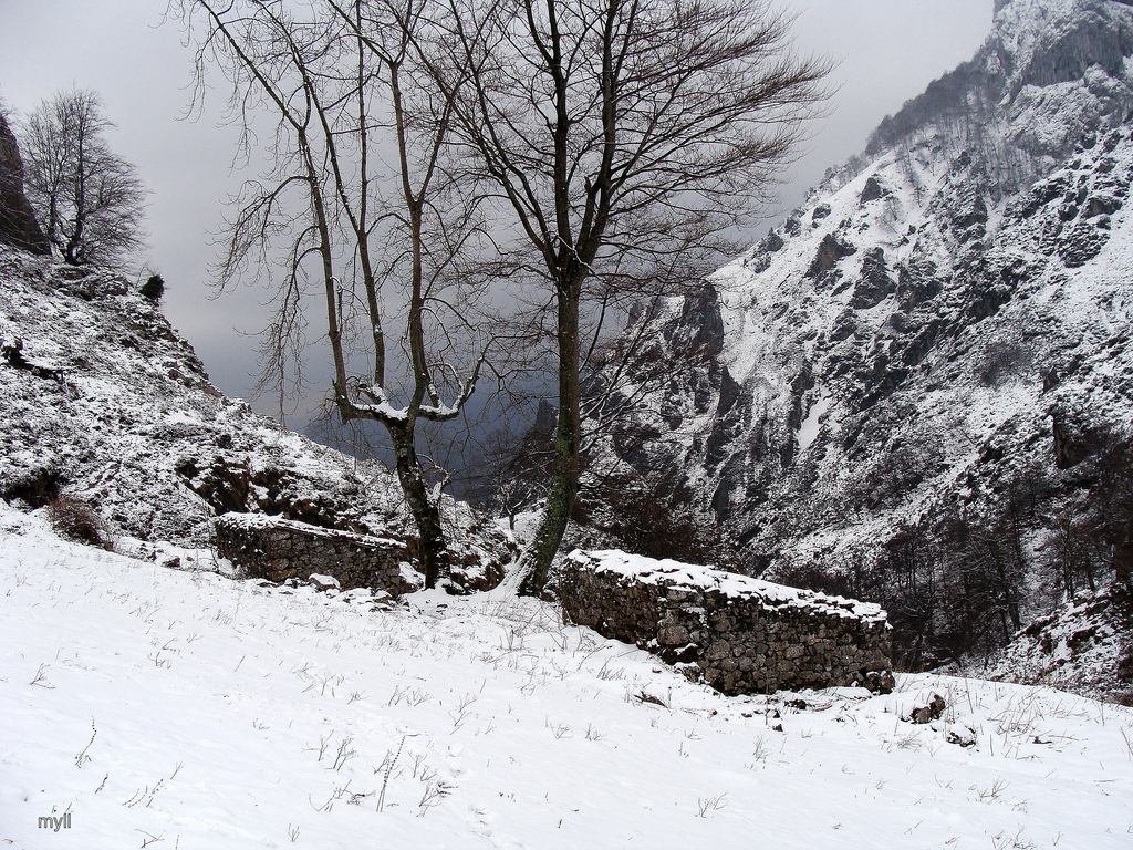 Ruta de montaña con nieve