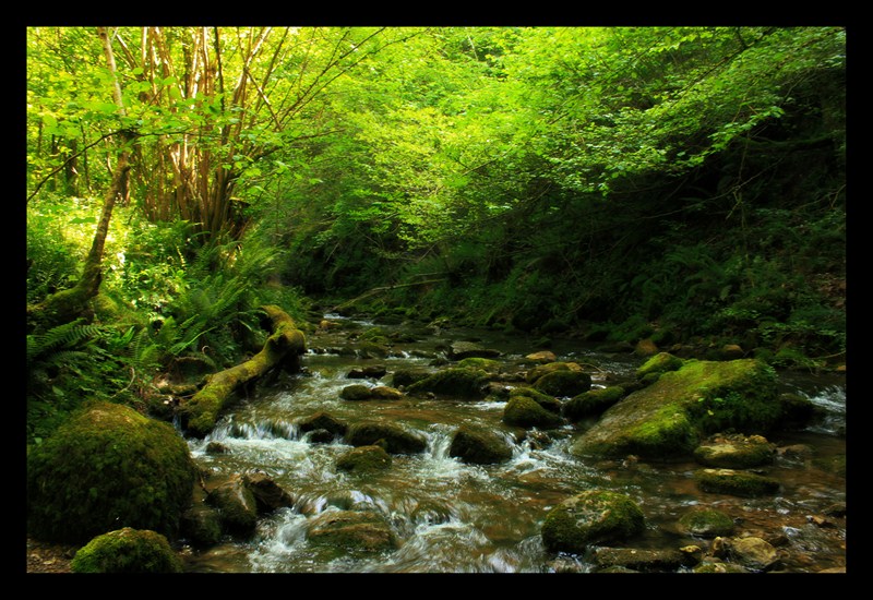 ruta el desfiladero de las xanas