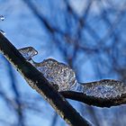 Rutschbahn für Eiskristalle