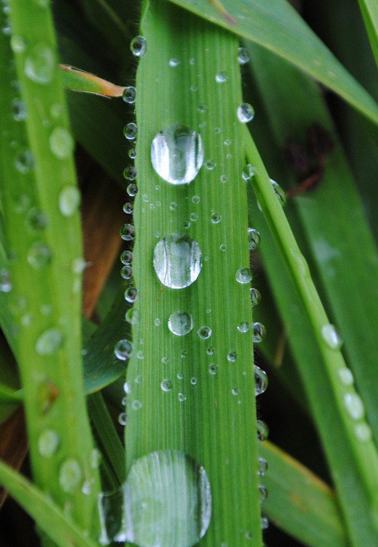 Rutschpartie der Wassertropfen ;-)