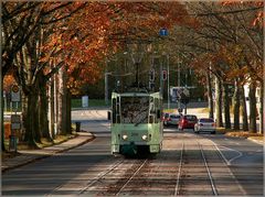 Rutschpartie im Herbst