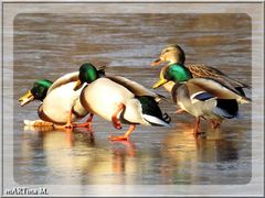 Rutschpartie im Jagdfieber