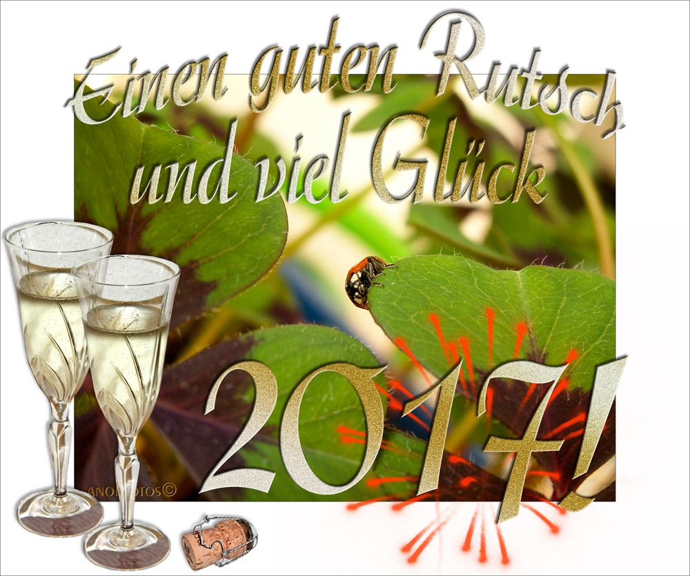 Rutscht gut ins neue Jahr, meine Lieben! Foto & Bild silvester, spezial, neujahr Bilder auf