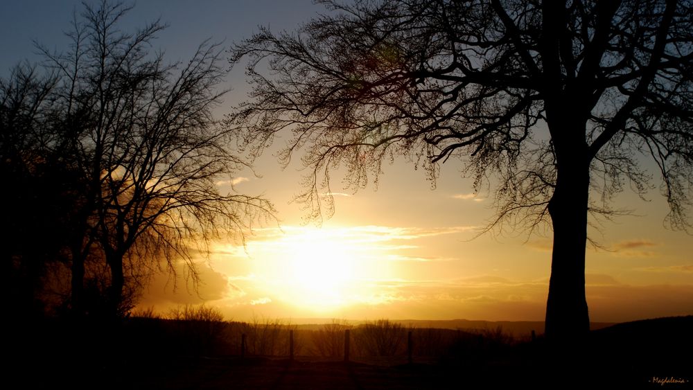 Rêve d'un soir