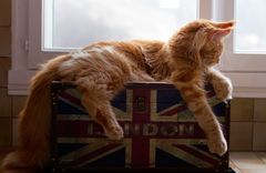 Rêver d'évasion....