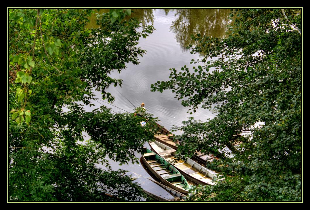 Rêverie du pêcheur solitaire