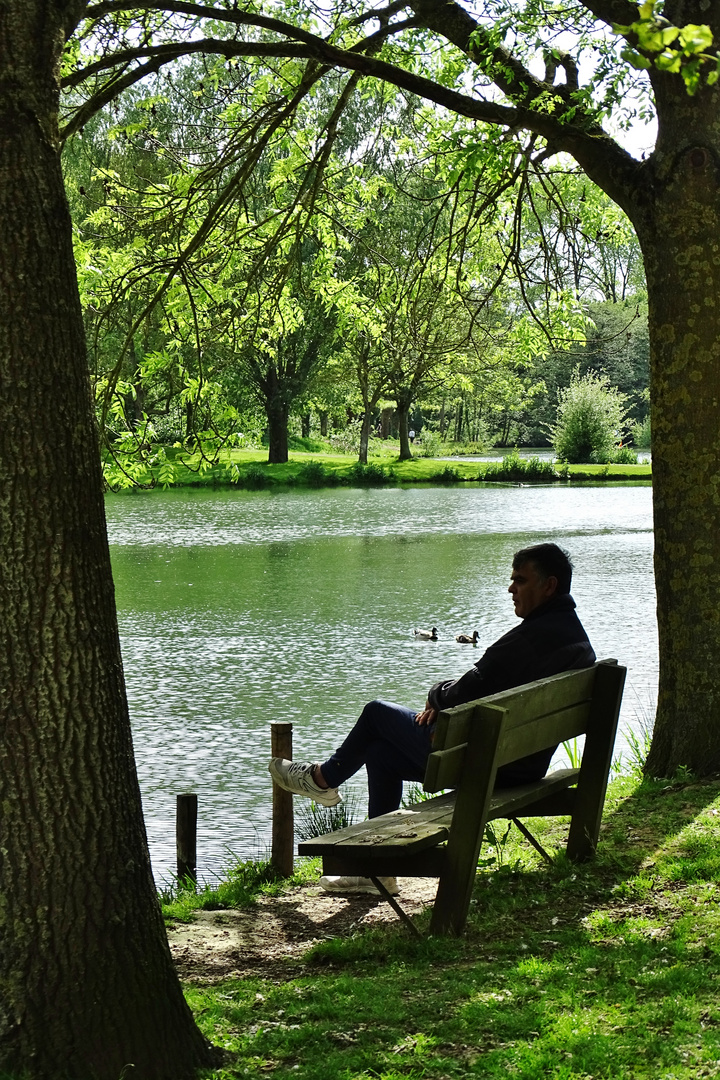 Rêverie du promeneur solitaire