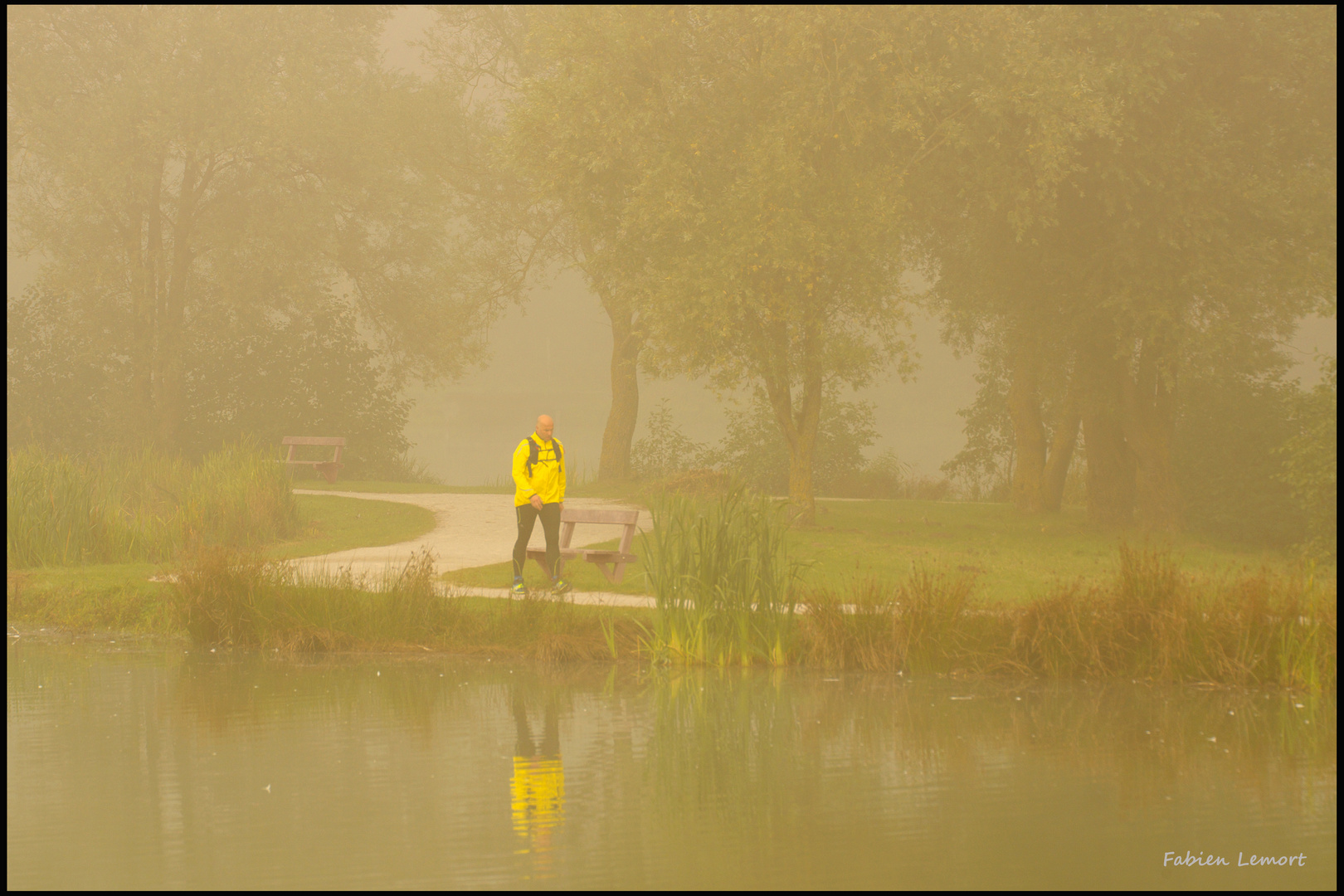 Rêverie d'un promeneur solitaire