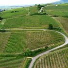 rêverie en vignoble