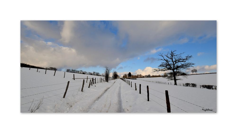 Rêverie hivernale