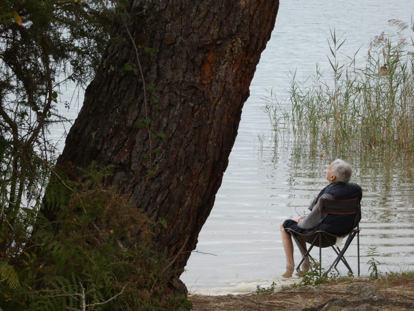 Rêverie les pieds dans l'eau...