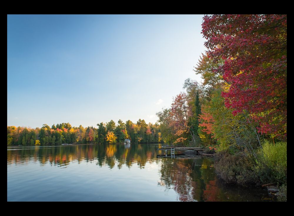 Rêveries d'automne