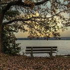 Rêveries d'un promeneur solitaire