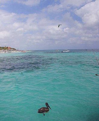 Rêves d'ailleurs....