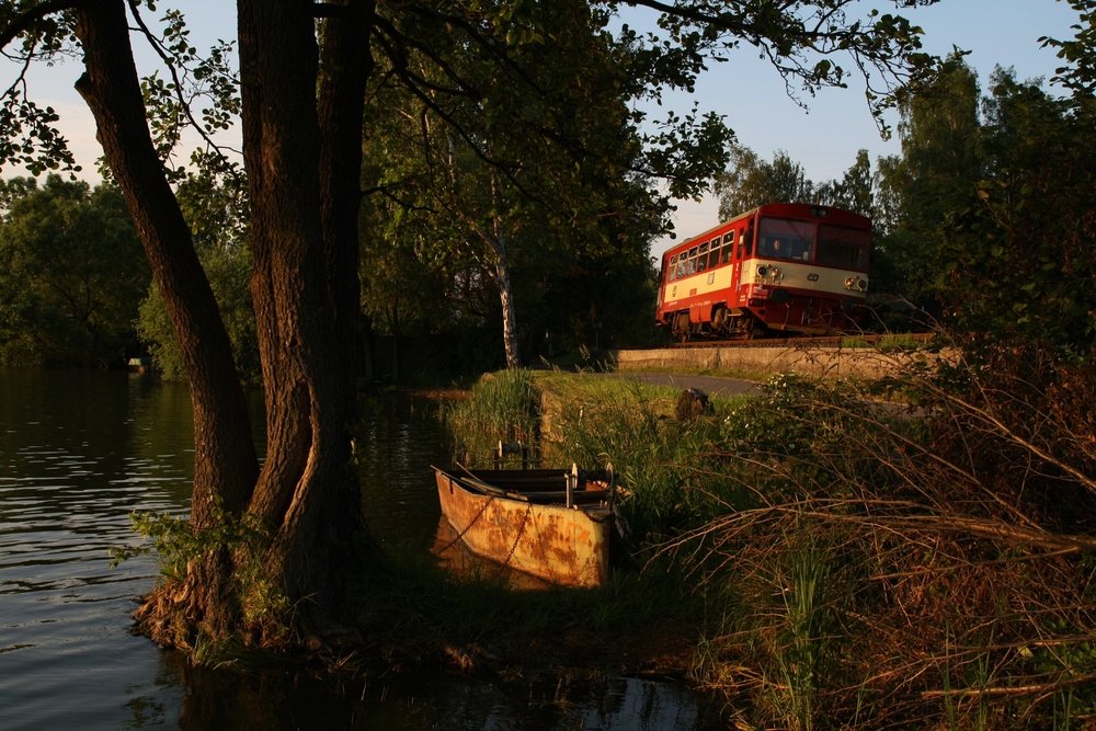 Rybnik