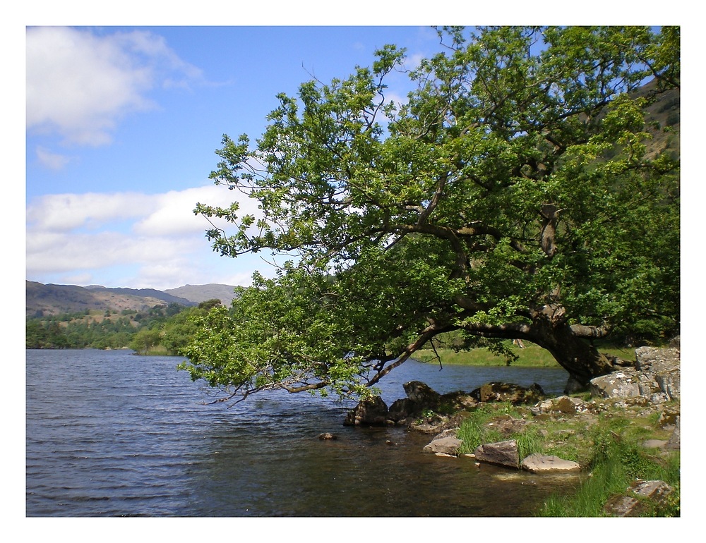 Rydal Water