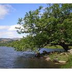 Rydal Water