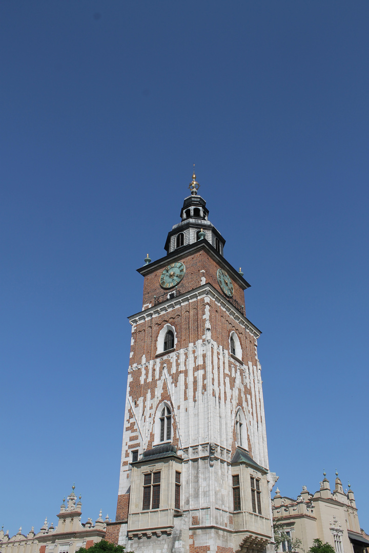 Rynek