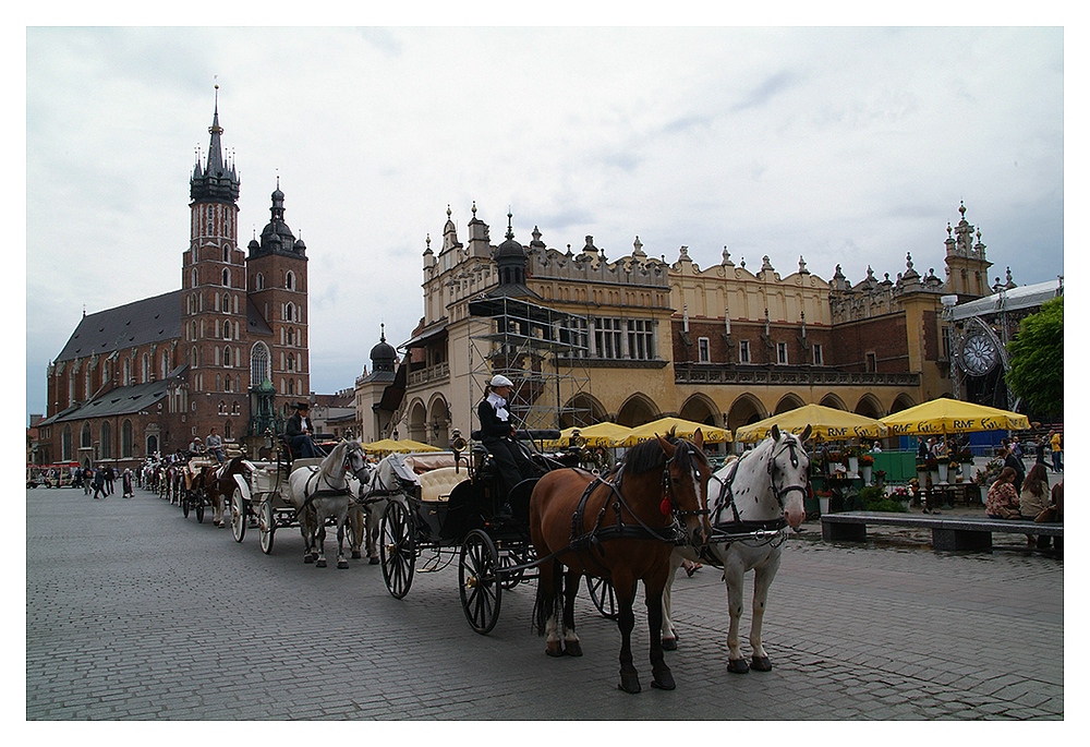 Rynek (Markt)