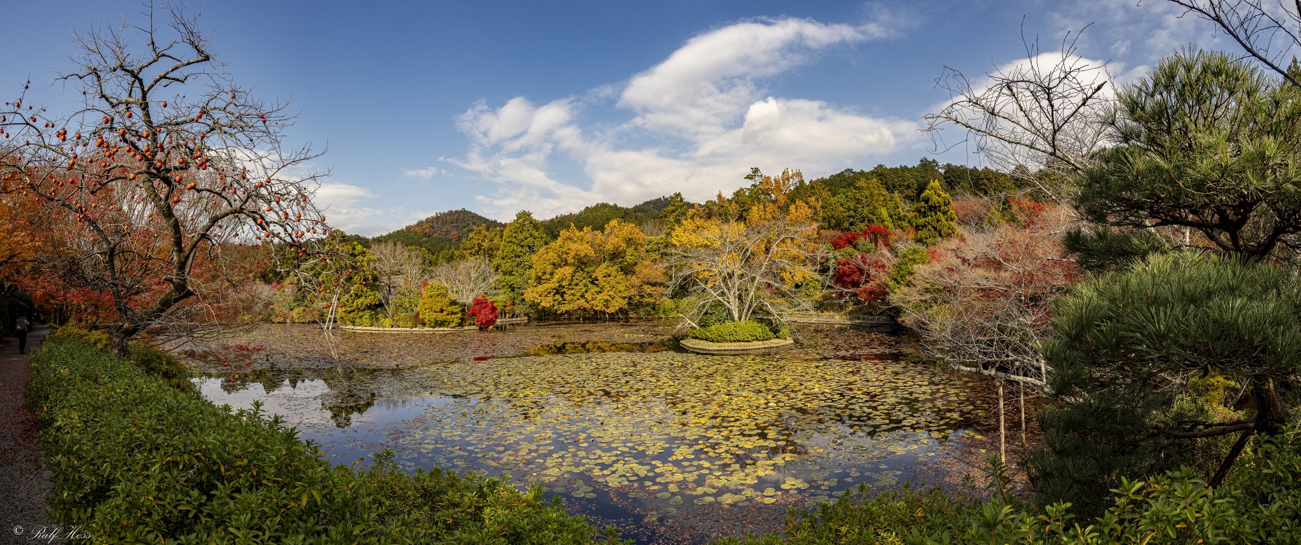 Ryoan-ji -Tempel