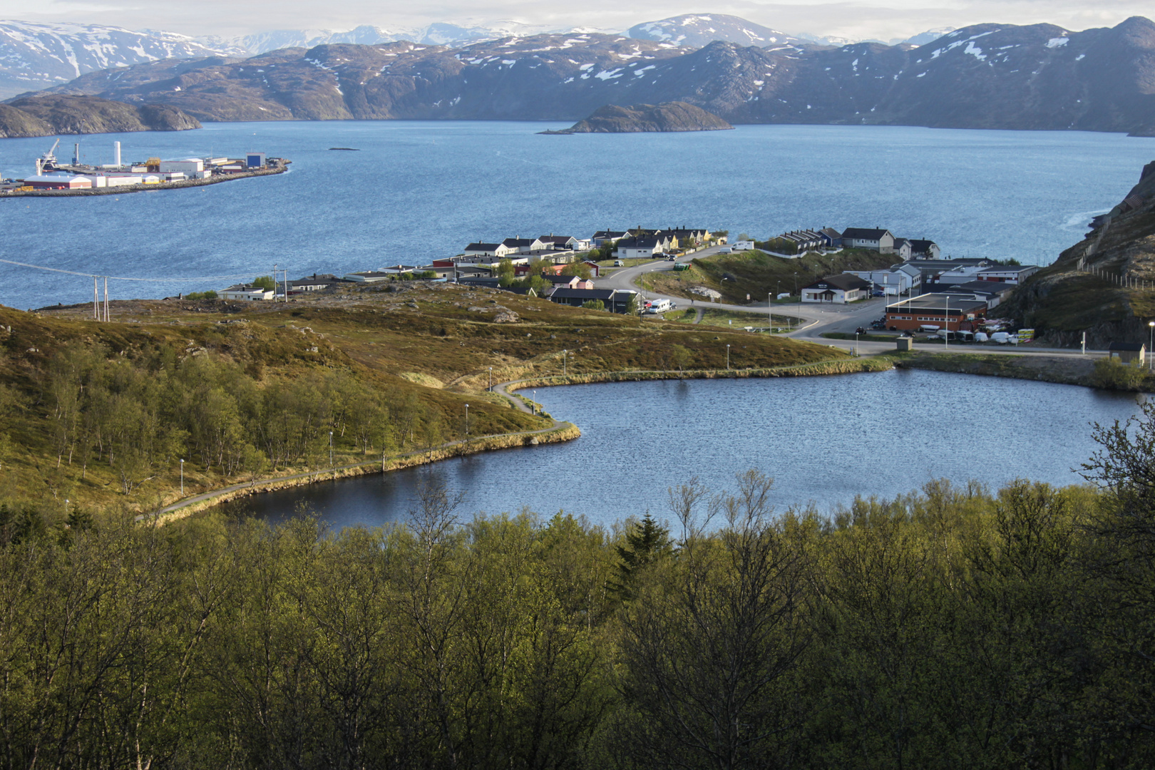 Rypefjord