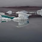 Rypefjord - Scoresby Sound