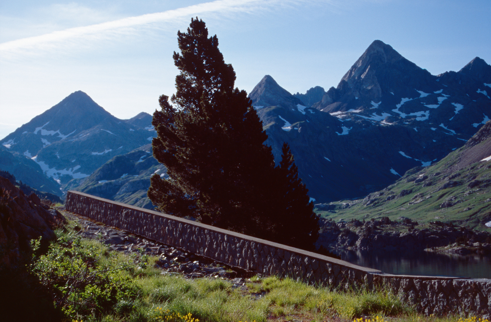 Ryrenäen Sommer 2009