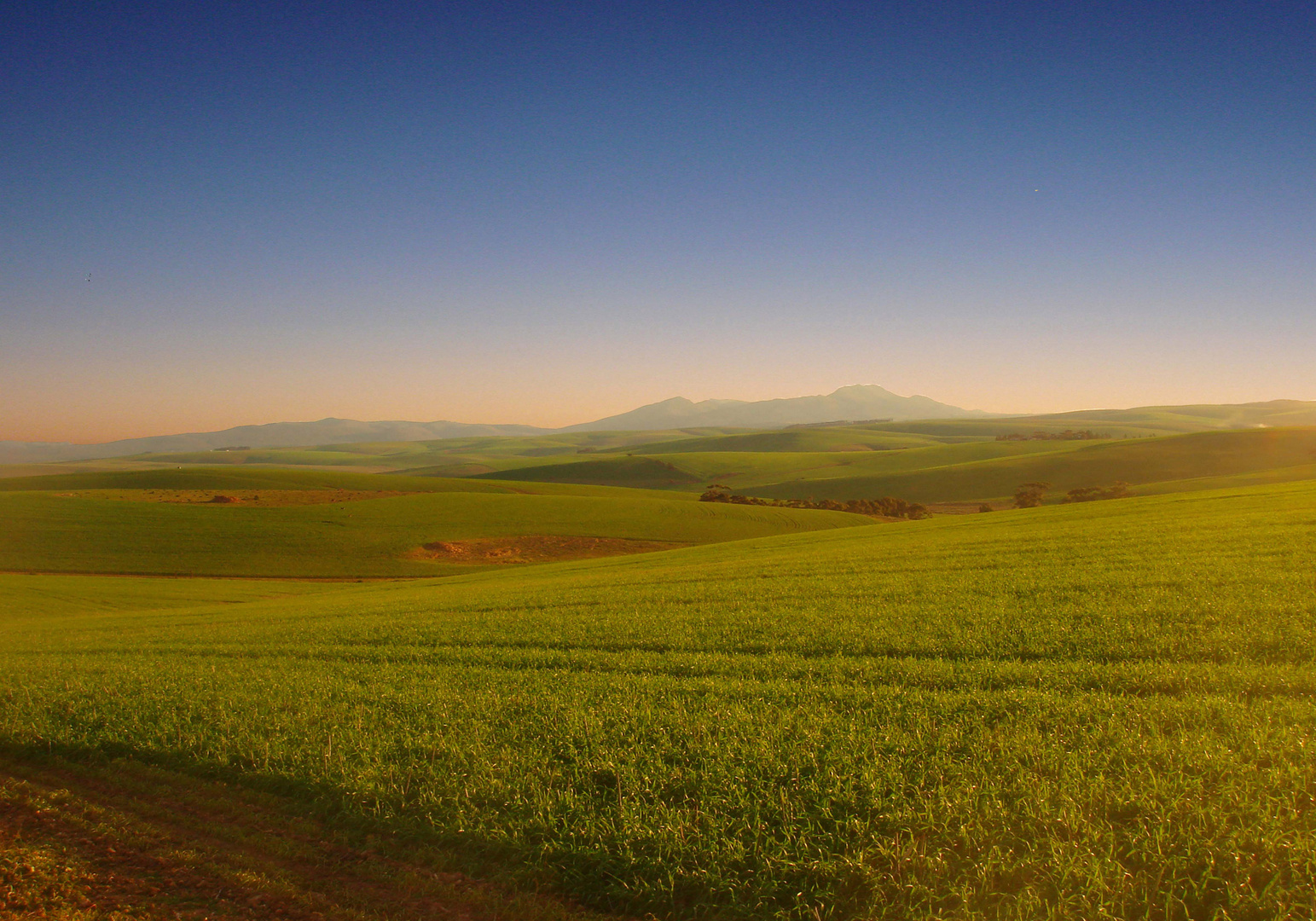 S-AP-CD-OB-010-b-Cape Dream-Overberg-Scape