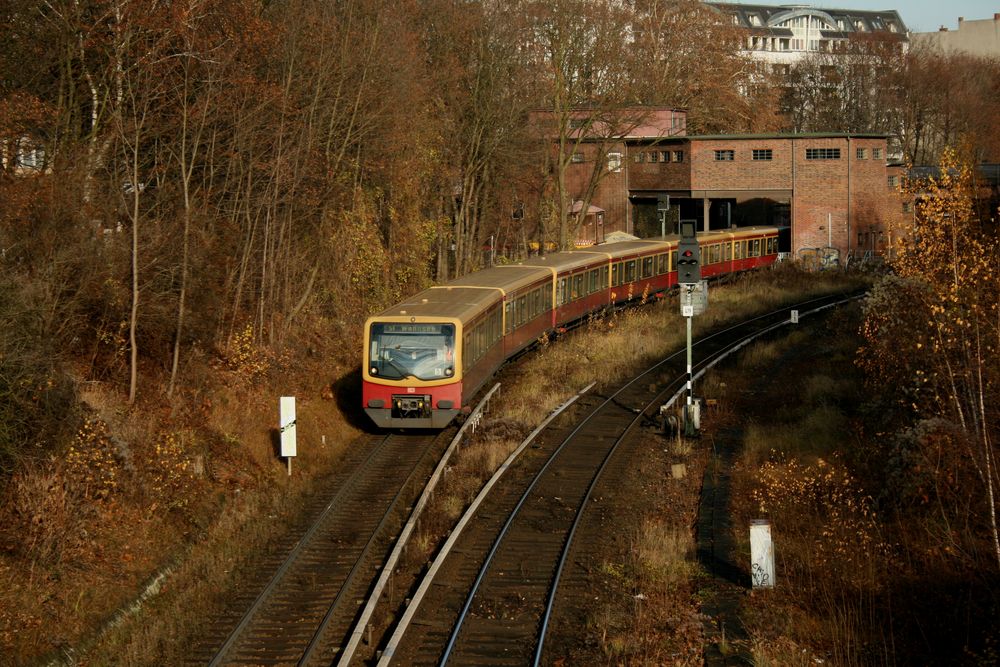 S-bahn bei Humbolthain