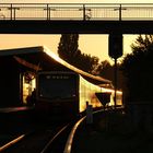 S-Bahn im Abendglint