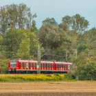 S-Bahn im Grünen