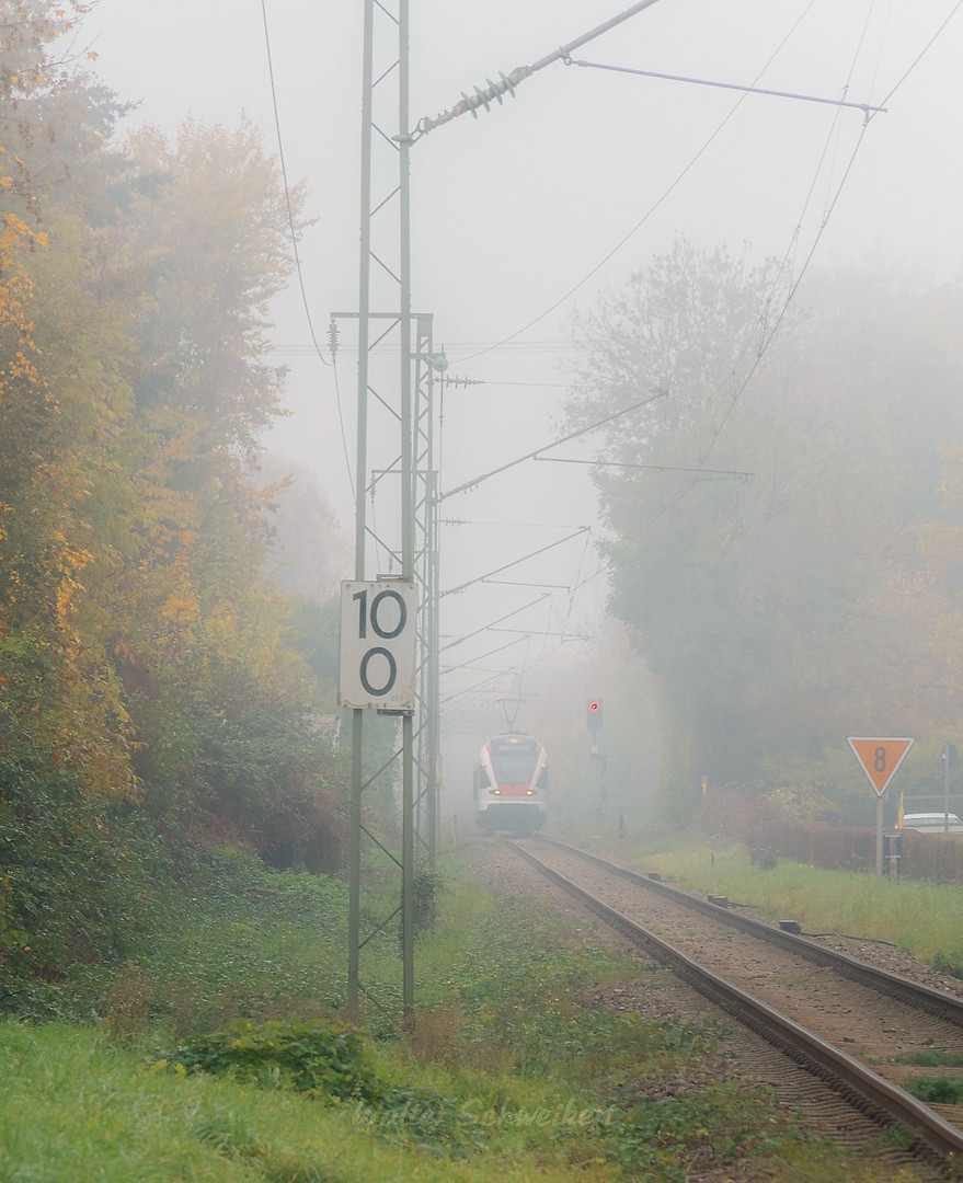 S-Bahn im Nebel