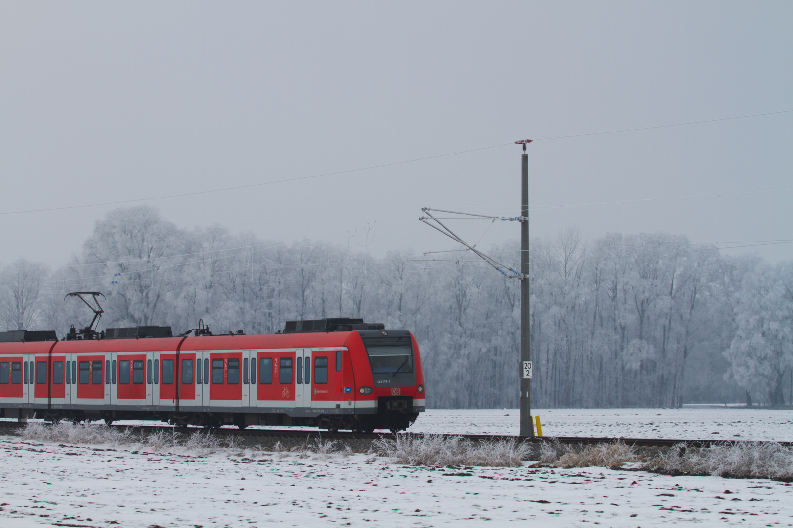 S-Bahn im Raureif