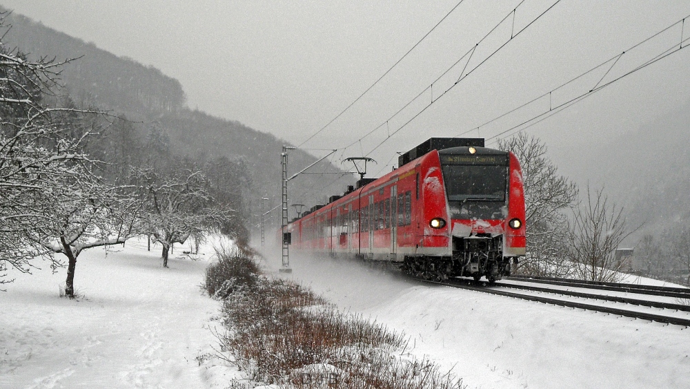 S-Bahn im Schneegestöber....
