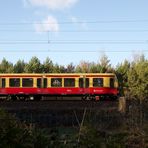 S-Bahn in idyllischem Rahmen