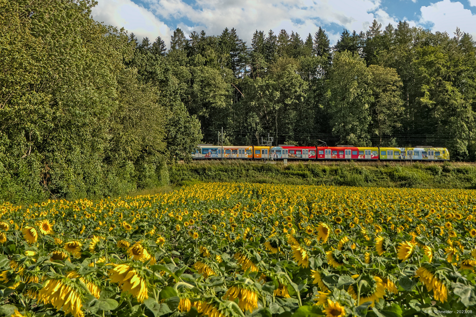 S-Bahn Jubiläumszug