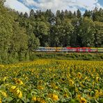 S-Bahn Jubiläumszug