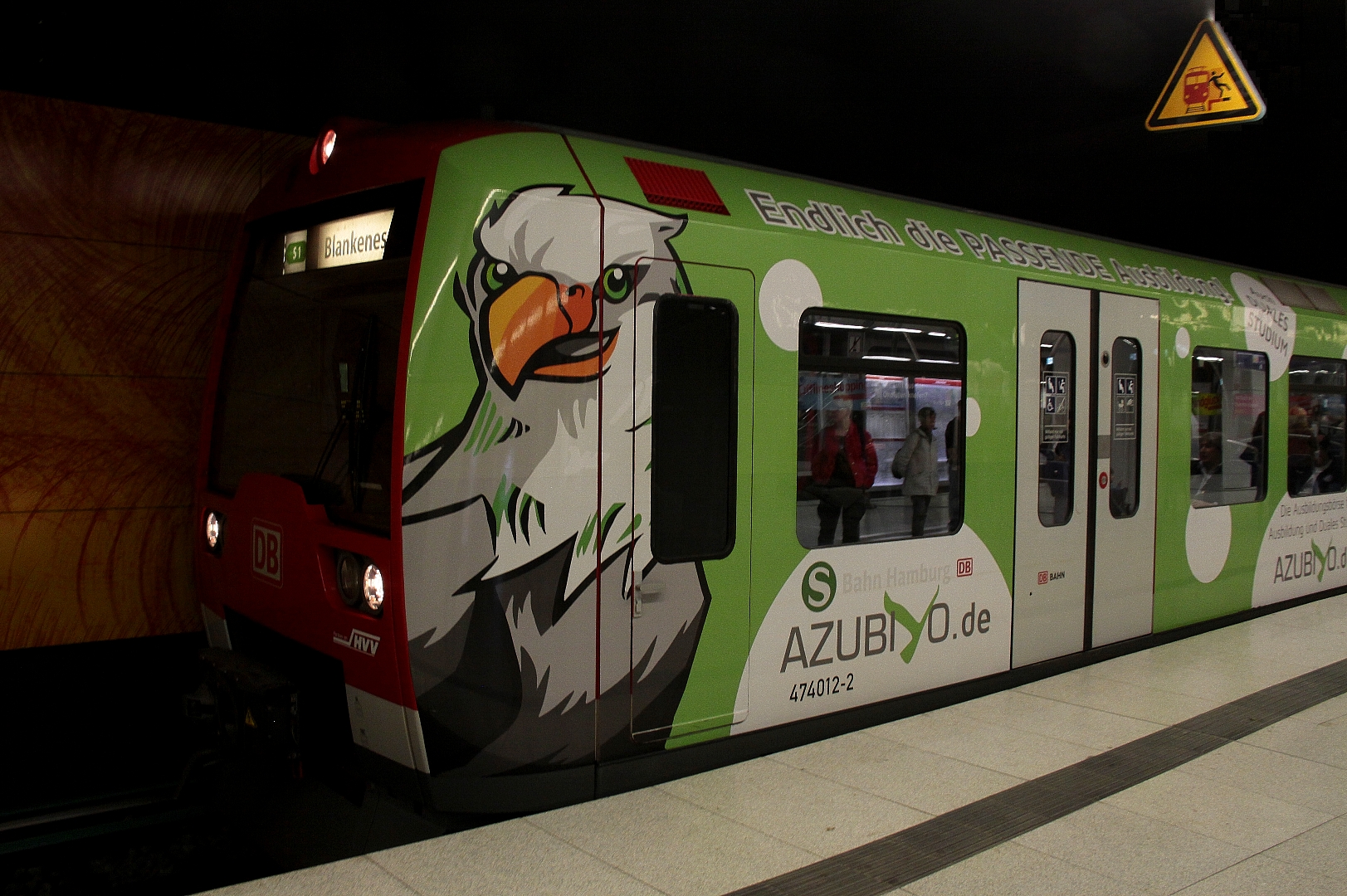 S-Bahn mit Adler-Blick