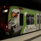 S-Bahn mit Adler-Blick