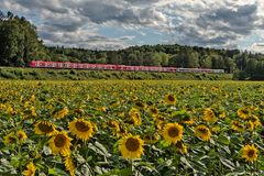 S-Bahn mit Jubiläums-Zug