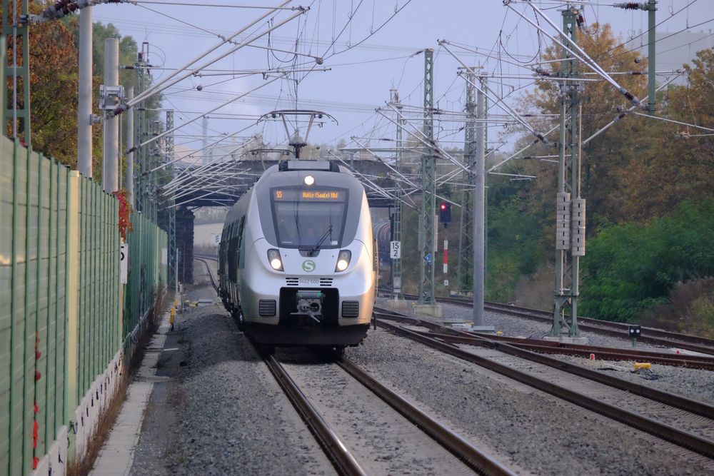 S-Bahn nach Halle #1