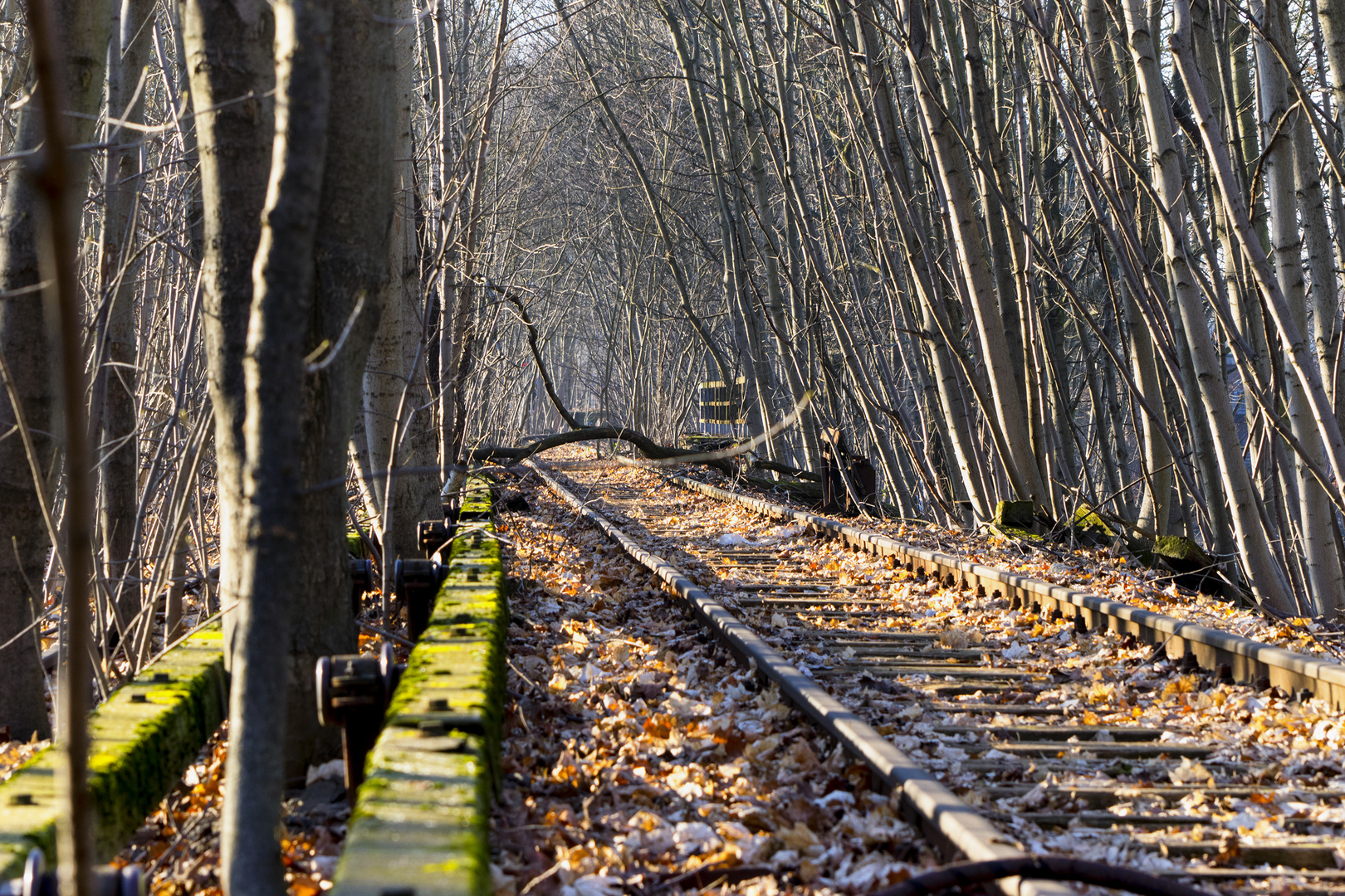 S-Bahn Siemensstadt