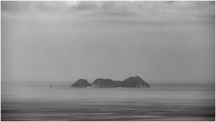 S C H A T Z I N S E L